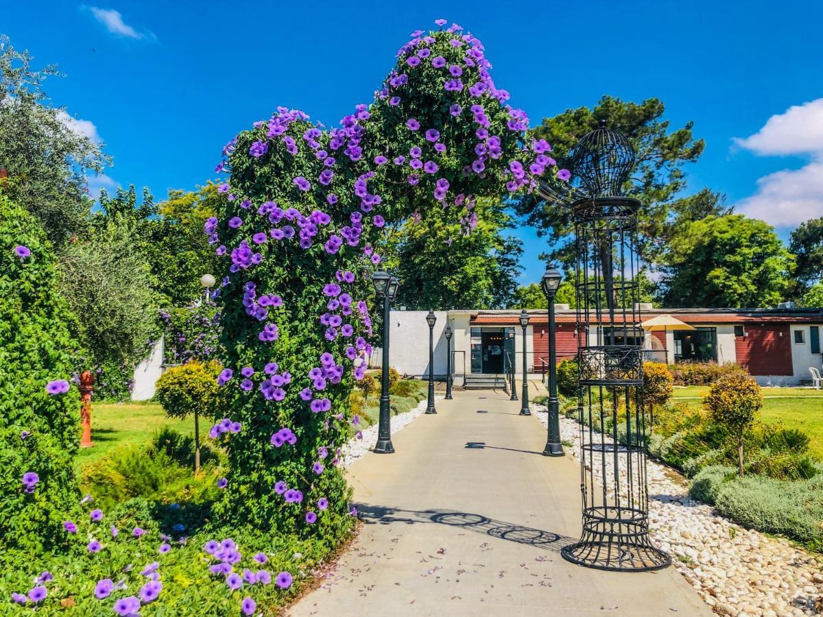 Erettz Dafna Travel Hotel Kültér fotó